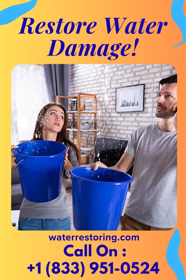 water restoration Falcon Water Damage Force Irvington
